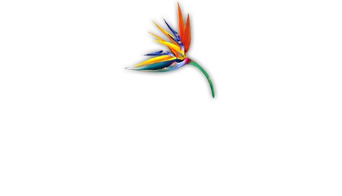 Logo Angela Savoldelli - Massage sensitive